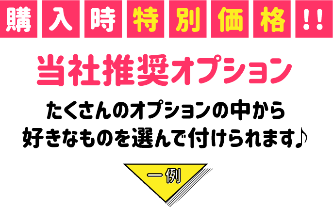 当社推奨オプション